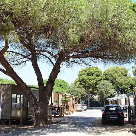 Campsite Tikayan Le Mediterranee - Maeva 3*